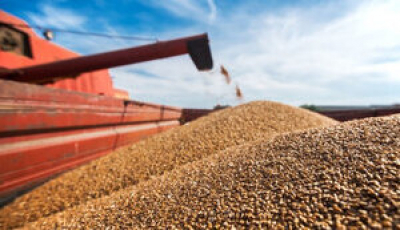 Україна погодиться на обмеження торгівлі з ЄС, але вимагатиме заборонити зерно з Росії,